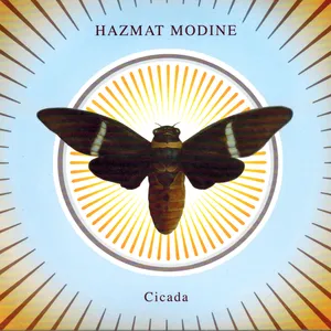 Cicada